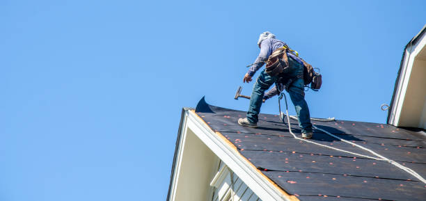 Best Metal Roofing Contractor  in Stevens Point, WI